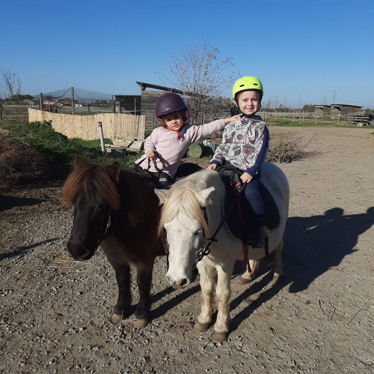 Petite Leçon D'équitation Pour Enfants, Une Fillette De Trois Ans Monte Un Poney Et Fait Des